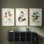 Turpin Tropical Botanicals IV - reproduction sur mesure encadrée de qualité supérieure - 3 pièces-1893982536-1893982646