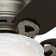 42'' Conroy 5 - Blade Flush Mount Ceiling Fan with Pull Chain and Light Kit Included