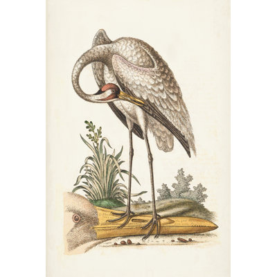 Antique Heron & Cranes IV - Painting