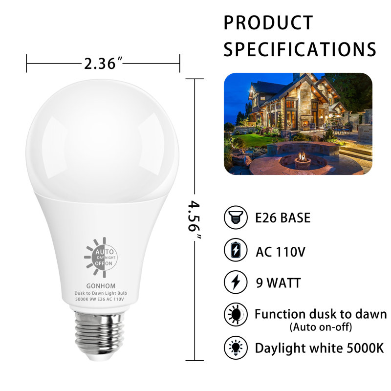 Ampoules DTD - 8, 8 lumières