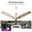 274cm X 365cm Rectangular Cantilever Parasol-436407682