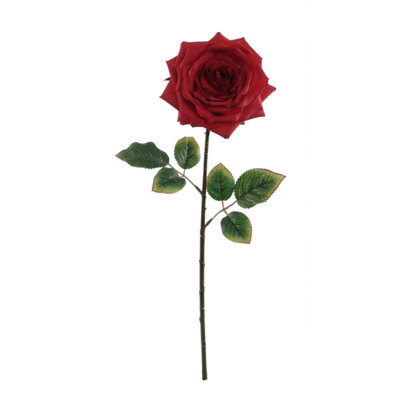 Tige de roses