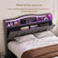 Drawers Bed Frame-1265919697-1265919711