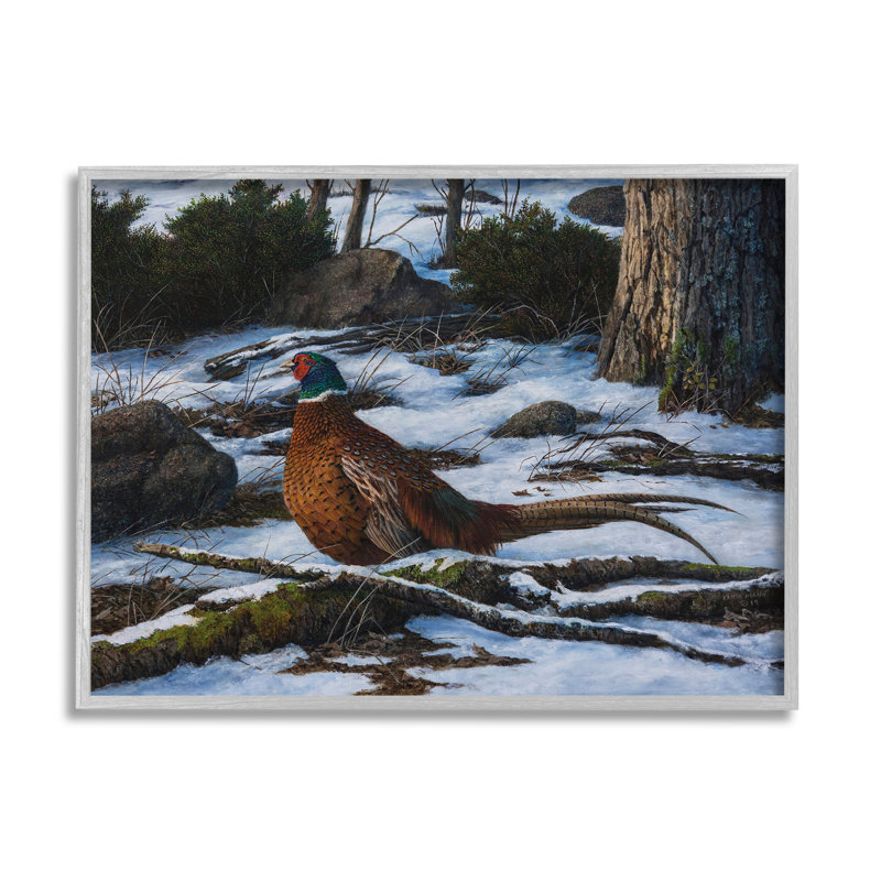 " Pheasant In Snowy Woods ", Farmhouse Gray Framed Giclee, 24" H x 30" W x 1.5" D
