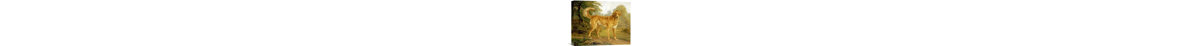 " A Golden Retriever On A Path " by Niels Aagaard Lytzen-17120810