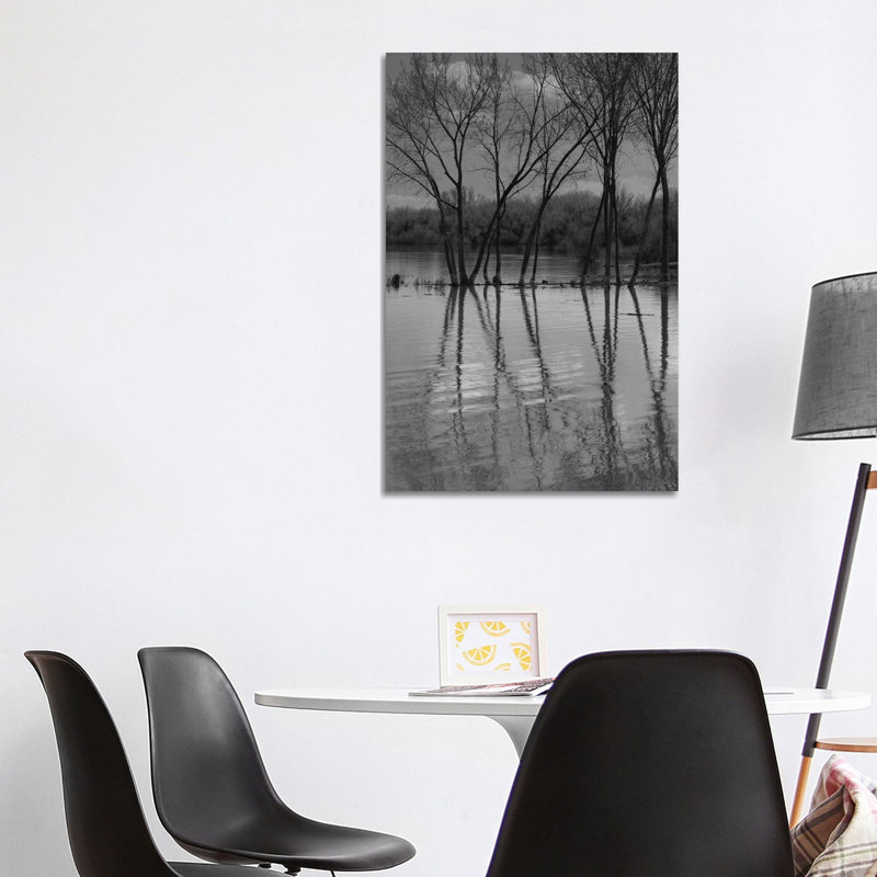 Entwined Reflections 1 Piece Wrapped Canvas Wall Art, 66.04cm H x 45.72cm W x 1.9cm D