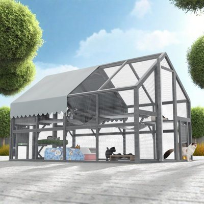 Large Outdoor Cat Enclosure with Platforms and Bridges