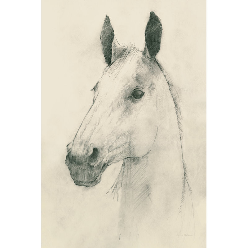Caesar - Wrapped Canvas Print, 76cm H x 51cm W