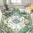 Shanna Oriental Indoor Rug-2046419884