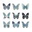 «Butterfly Study in Blue II», reproduction d'art sur toile-20930357