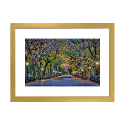 «Central Park Night» par David Gardiner - reproduction de photo