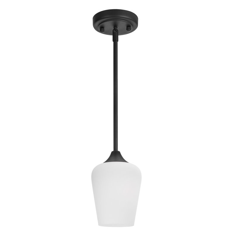 Petronilla 1 - Light Single Jar Pendant