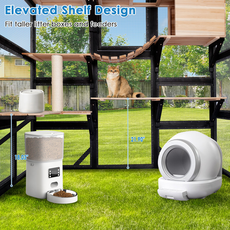Catio