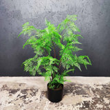 Artificial Fern tree Faux Fern tree