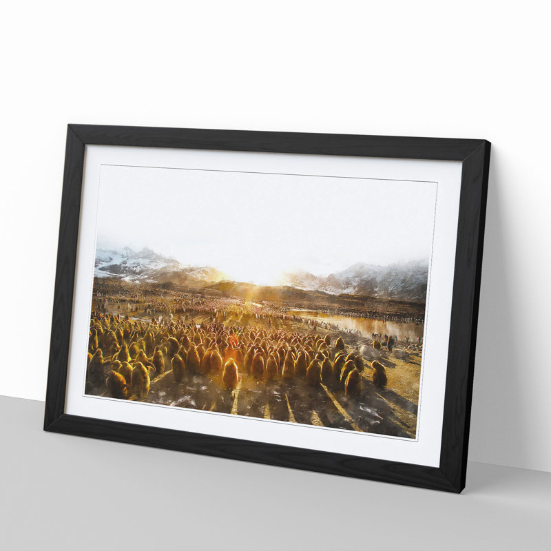 Young King Penguins - Picture Frame Graphic Art, Black Framed, 36cm H x 48cm W x 2cm D
