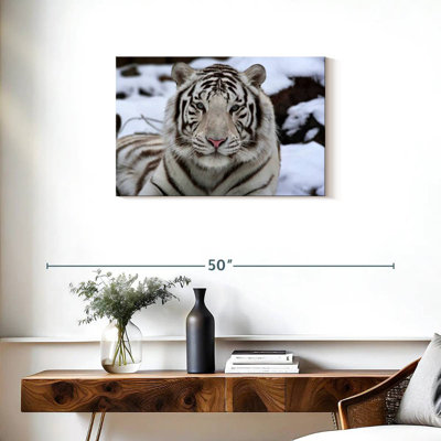 Glacieux tigre blanc Brampt