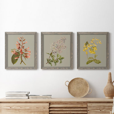 Botanical Array I - ensemble de 3 peintures sur toile encadrées