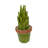 Landscape & Nature Figurines & Sculptures