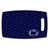 Penn State Nittany Lions