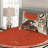 Eclectic Polyester Coverlet