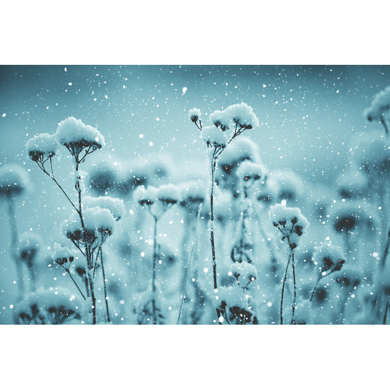 Winter Scene by Andrey Danilovich, 24" H x 36" W