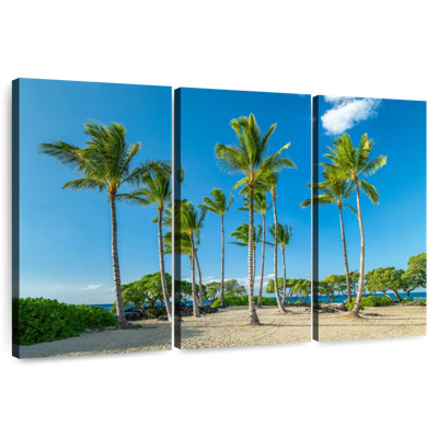 Gillard Kukio Beach Palms