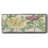 Peony Blooms II- Framed Canvas-873883263
