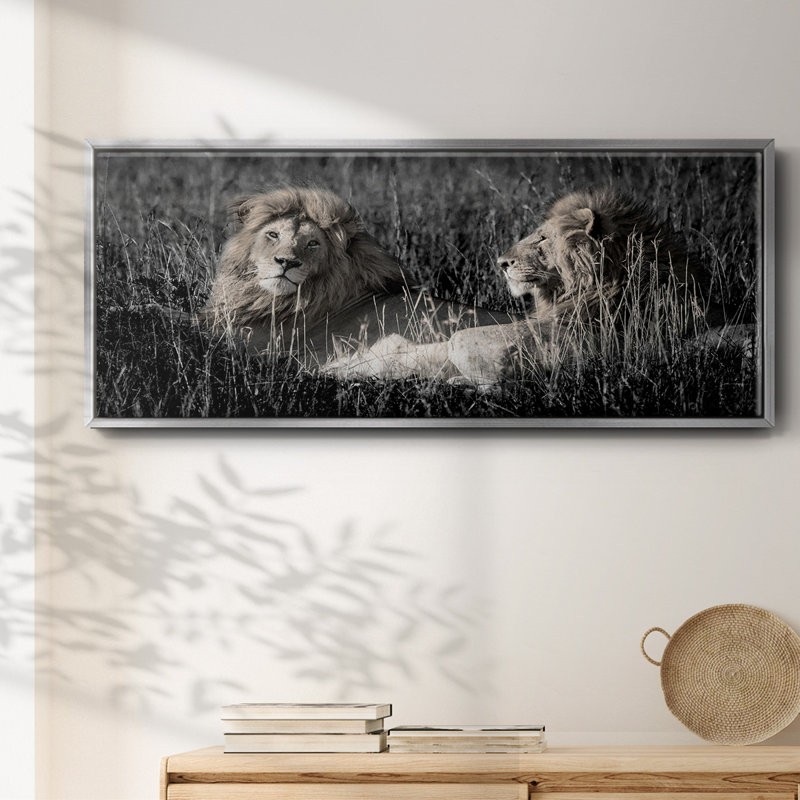 Mara Lions- Framed Canvas, 12" H x 30" W