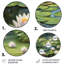 «Magical Lotus Lily Pad Pond», art mural floral rond en métal-2044508401