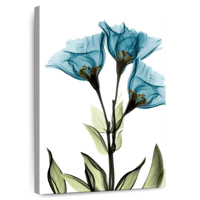 Harnek Gentian