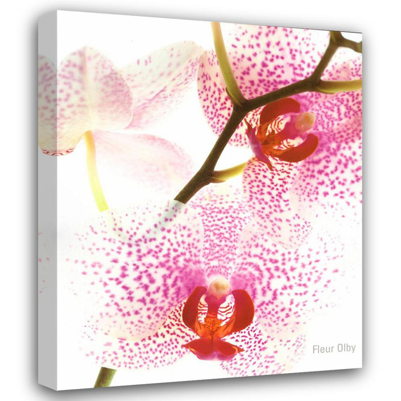 Orchid, 24" H x 19" W
