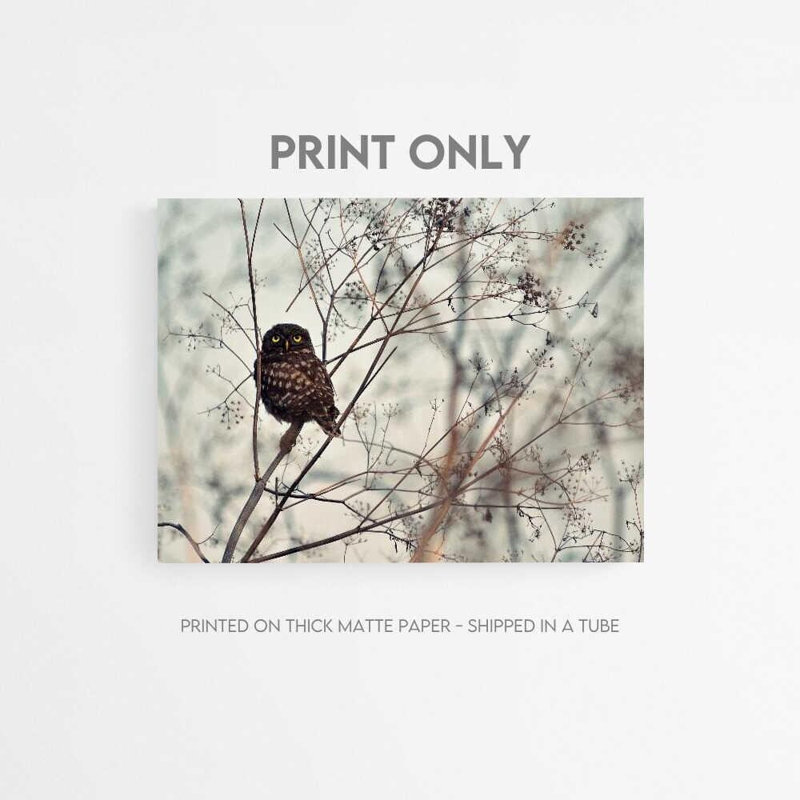 Reproduction d'art hibou: branche d'automne, regard intense, H 30 po x l 40 po, Brun