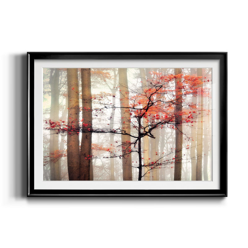 Awakening - Cadre photo, impression sur papier, H 22,5 po x l 30,5 po x P 1,5 po, Noir