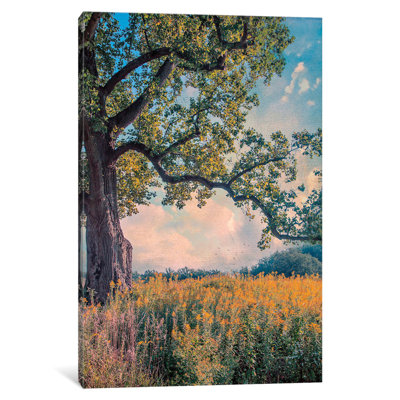 «Where I Daydream» par John Rivera, reproduction de photo sur toile