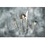 Due 20 - Piece Stainless Steel Flatware Set - Service for 4-93481931