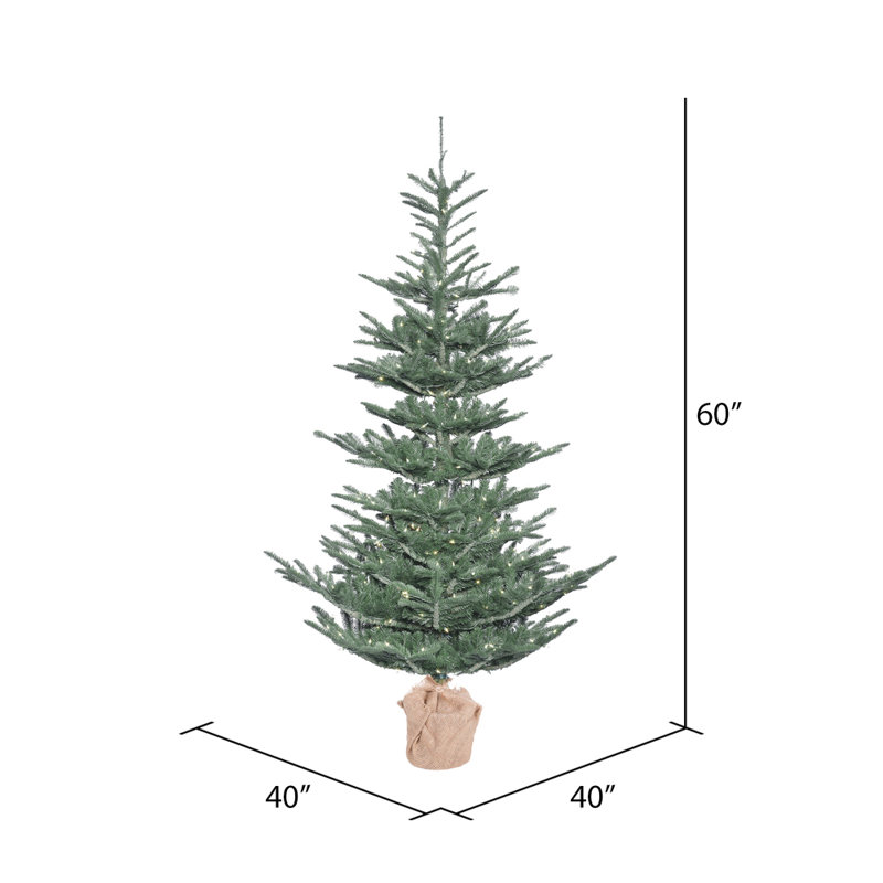4' Green Alberta Spruce Artificial Christmas Tree with 150 LED Clear/White Lights with Stand, 5' H