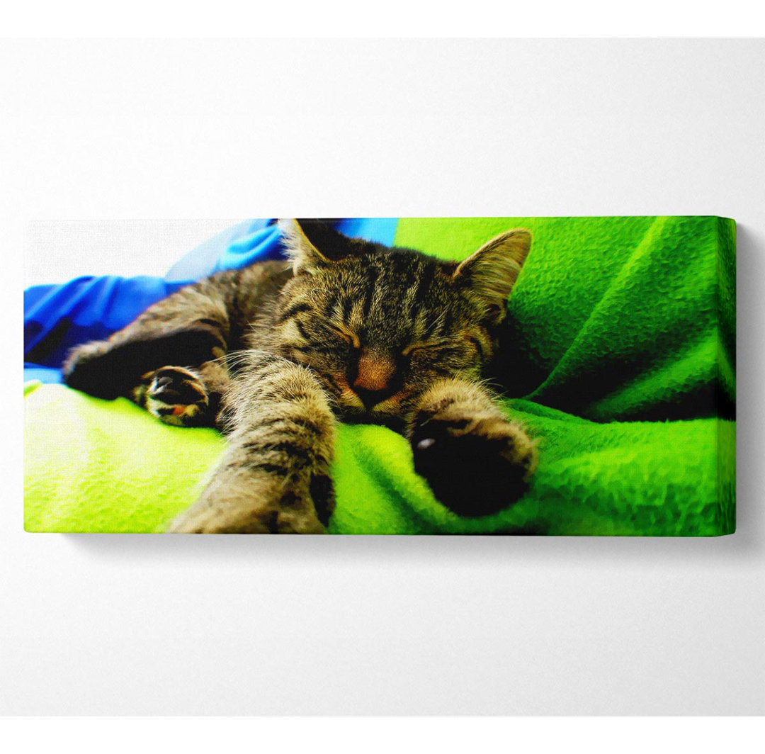 Its a Cats Life - Kunstdrucke auf Leinwand