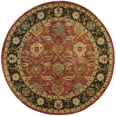 Bassham Wool Oriental Indoor Rug