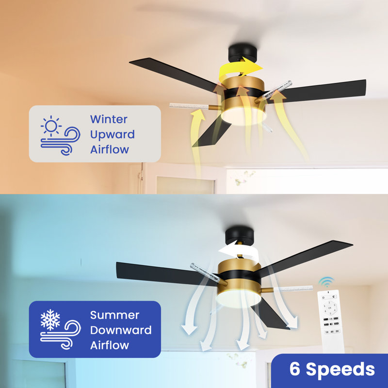Graceanne 60'' Ceiling Fan with LED Lights, Black/Gold