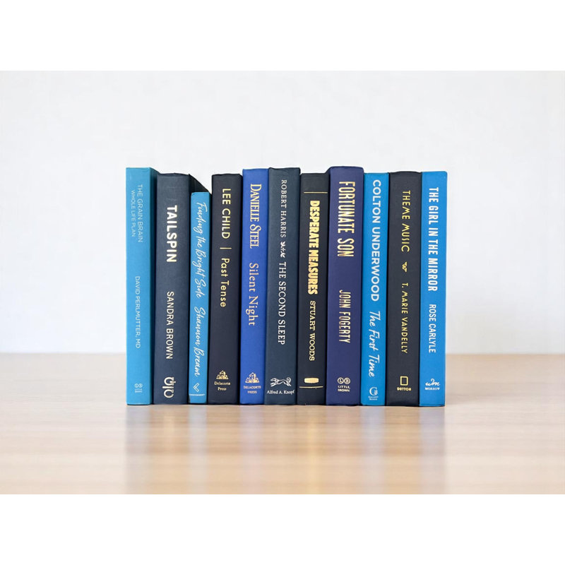 Livres décoratifs Blue Story (au pied)