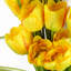 Plastic, Silk Artificial Arrangement-106401566