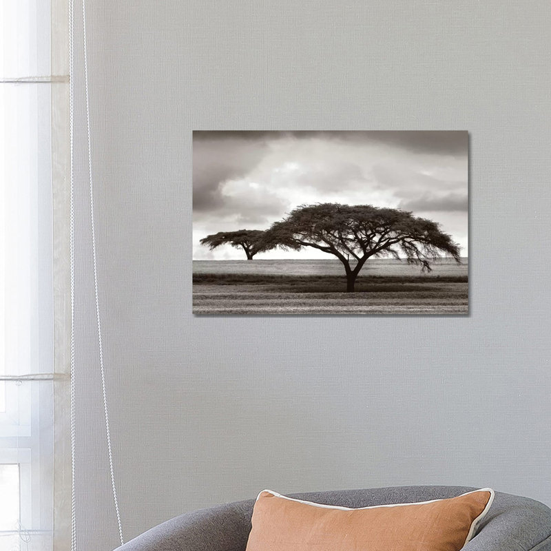 Acacia Trees 1 Piece Wrapped Canvas Wall Art, 66.04 cm H x 45.72 cm W x 1.91 cm D