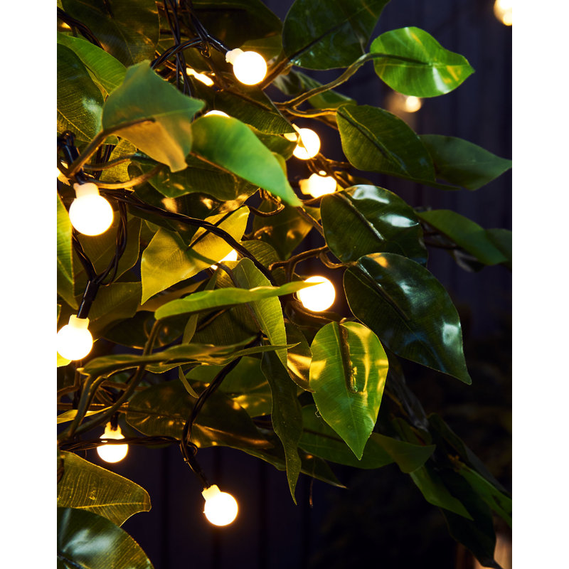 2990.7cm 300 - Bulb Standard String Light