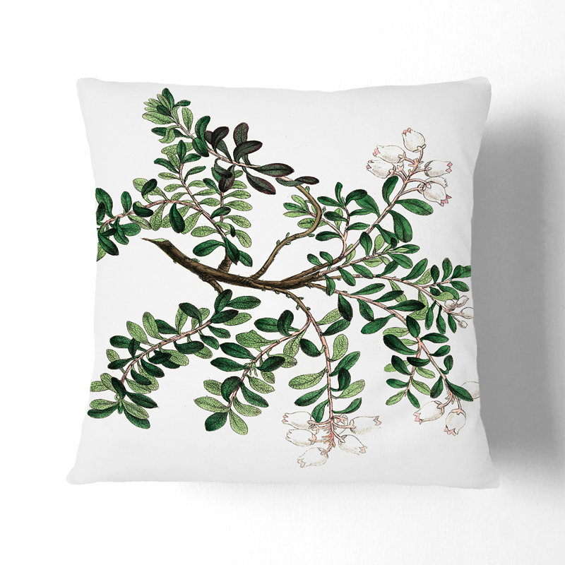 Square Throw Cushion, 55cm H x 55cm W x 20cm D