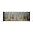 Aspen Trees In A Forest Alberta, Canada by Panoramic Images - Wrapped Canvas Panoramic Print-223938801-167546753