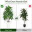 Arbre artificiel Dracaena de 1,5 m, plante Dracaena fragrans à plusieurs têtes avec pot blanc, feuilles réalistes aux tons jaunes, plante d'intérieur facile d'entretien pour la décoration de la maison et du bureau extérieur couvert-129867221