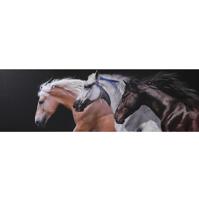Triple tête de cheval - photographie sur toile
