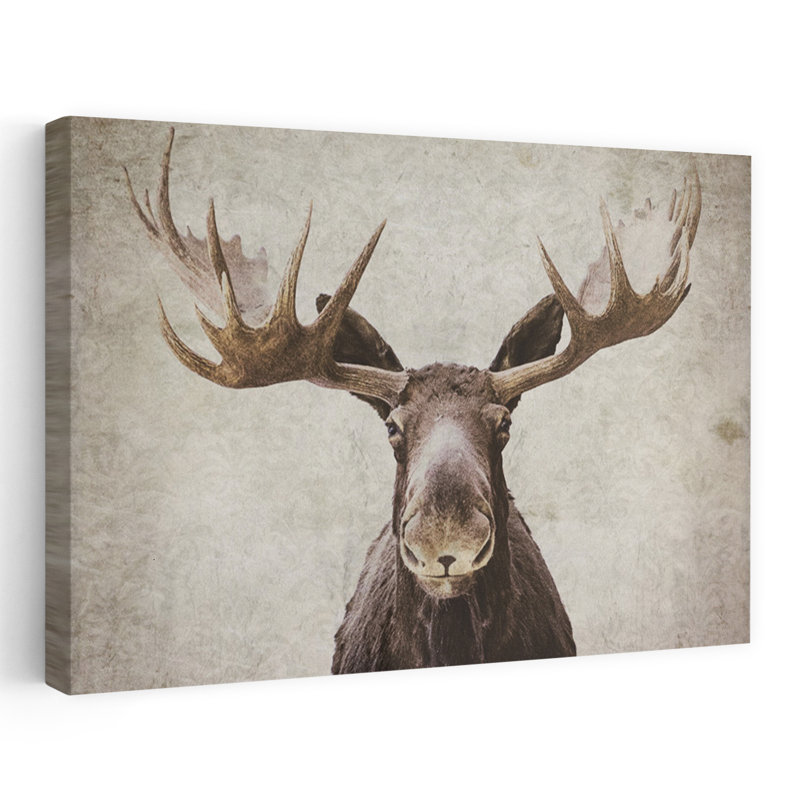 Art Elmer The Moose, H 32 po x l 48 po