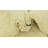 Iraheta Ivory Rug