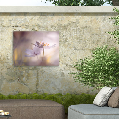 Ylva Sjogren  Violet Tones Outdoor  Canvas
